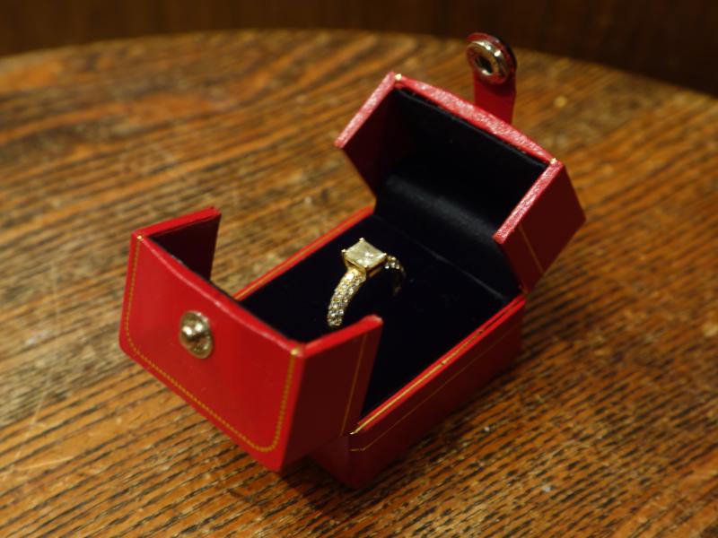 レトロ赤リングケース LCM 7755(2)