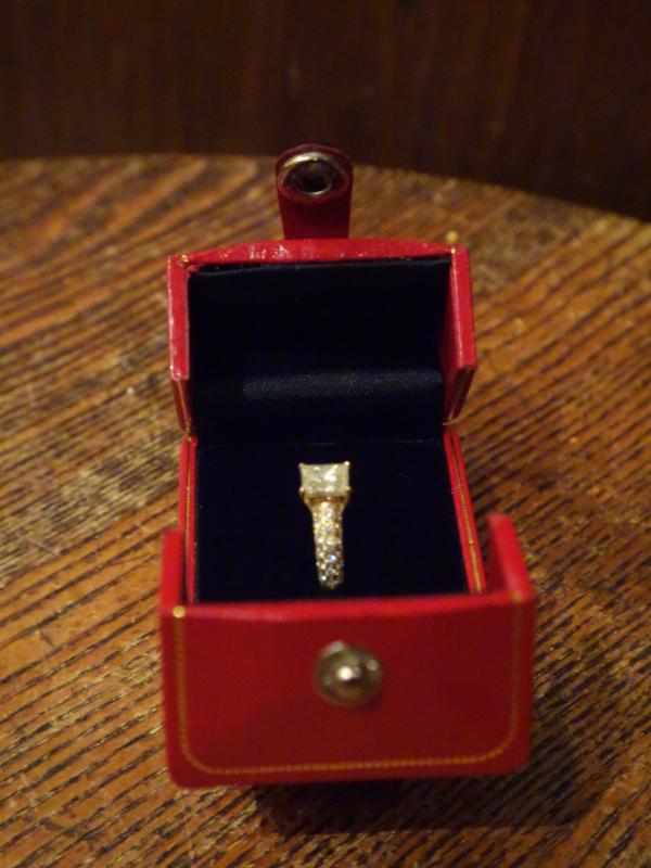 レトロ赤リングケース LCM 7755(3)