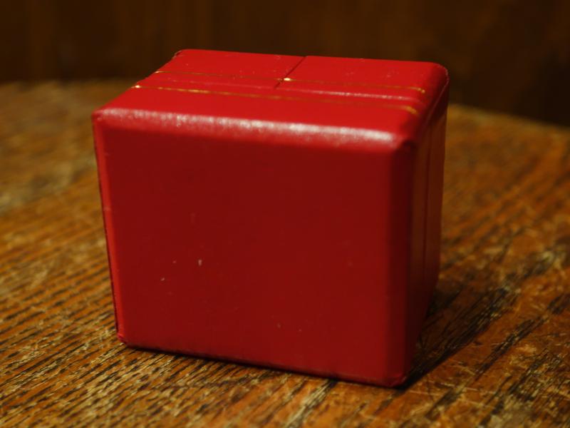 レトロ赤リングケース LCM 7755(7)