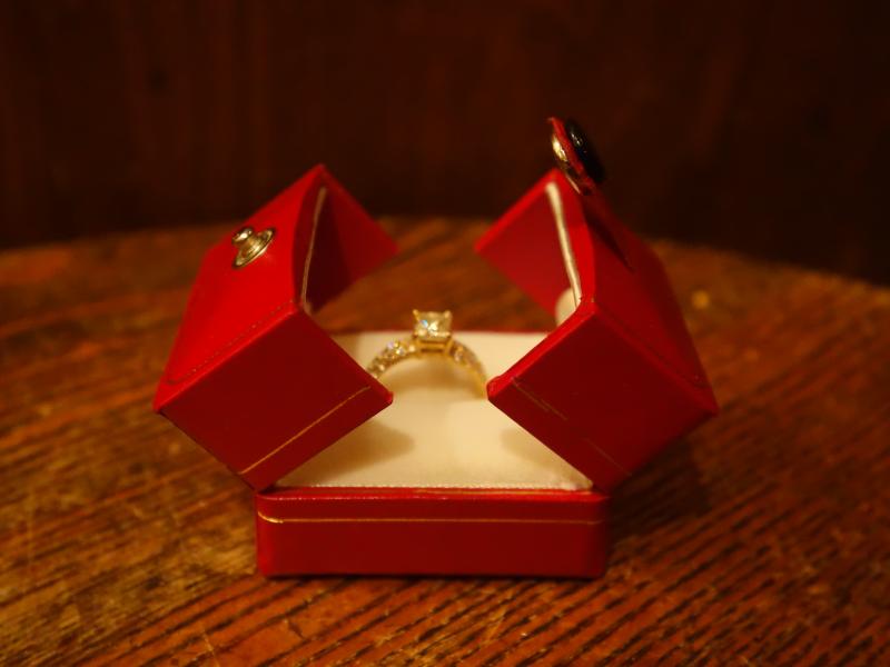 レトロ赤リングケース LCM 7756(2)