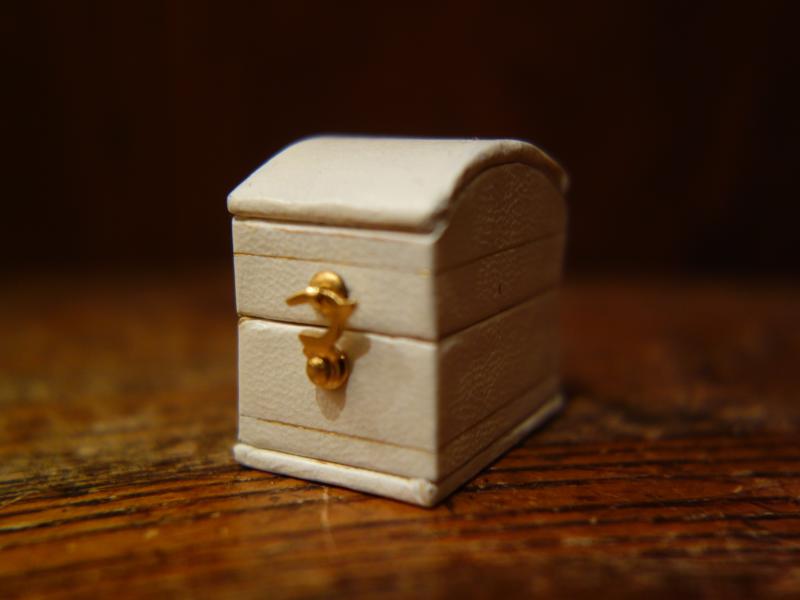 English white ring display case