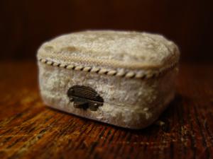 English white velvet jewelry display case