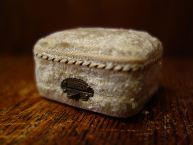 English white velvet jewelry display case