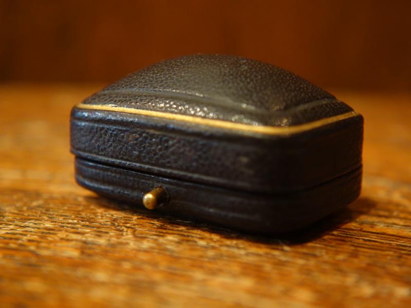 English black leather jewelry display case