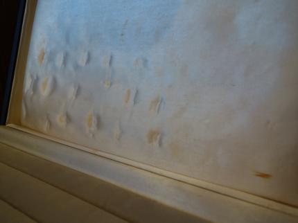 紺系リング収納ケース　LCM 7799（C3）