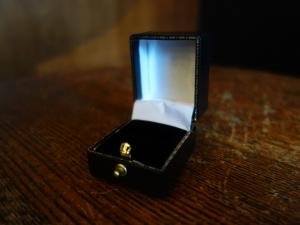 English black ring display case